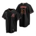 Men's Nike Arizona Diamondbacks #51 Randy Johnson Black Alternate Stitched Baseball Jersey