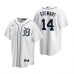 Men's Nike Detroit Tigers #14 Christin Stewart White Home Stitched Baseball Jersey