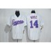 Mitchell And Ness Montreal Expos #14 Pete Rose White Strip Throwback Stitched Baseball Jersey